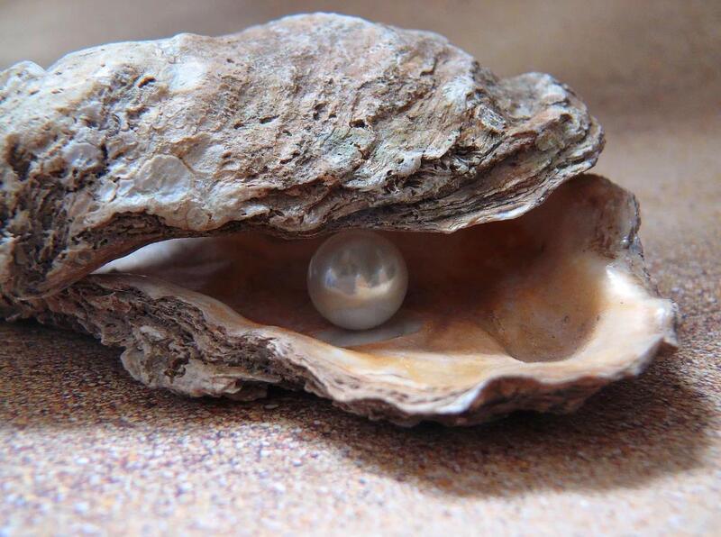 Freshwater Pearls: The Timeless Elegance of Nature’s Treasure - SHAO Jewelry